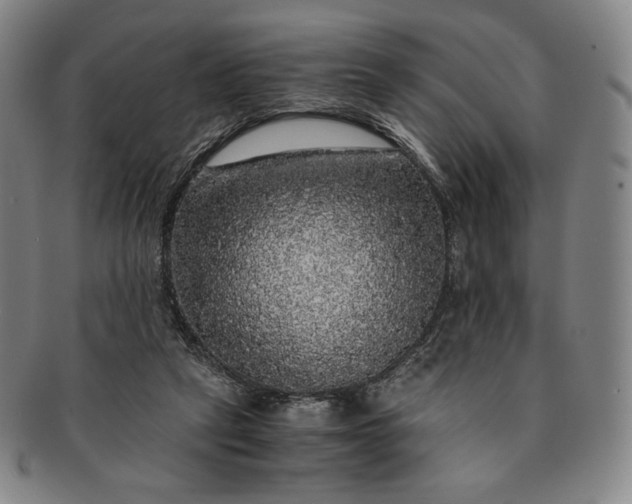 X0000091200257200708231537