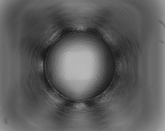 X0000091200262200708231537