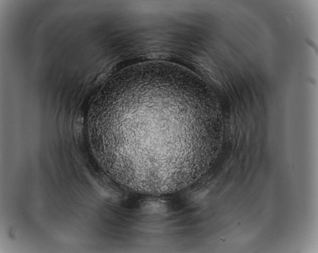X0000091200263200708231537