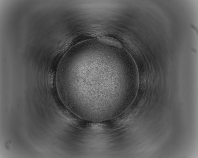 X0000091200268200708231537