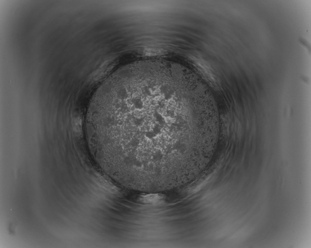 X0000091200269200708231537