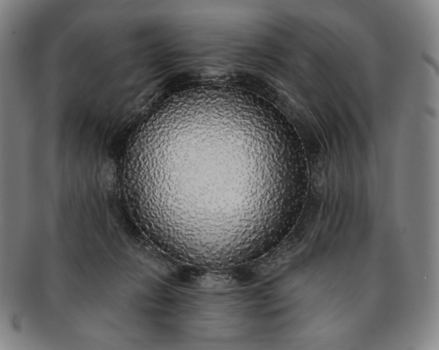 X0000091200270200708231537