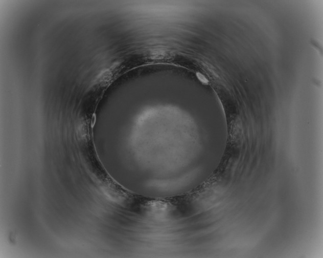 X0000091200272200708231537
