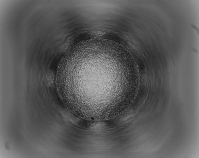 X0000091200274200708231537