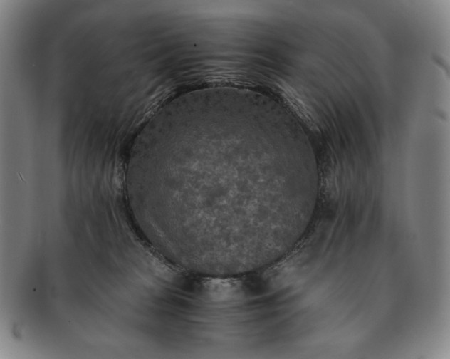X0000091200277200708231537