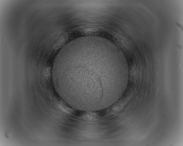 X0000091200278200708231537