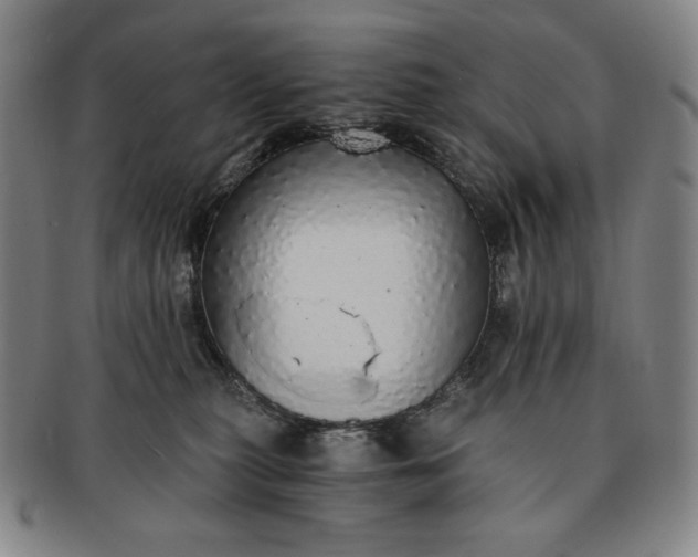 X0000091200279200708231537