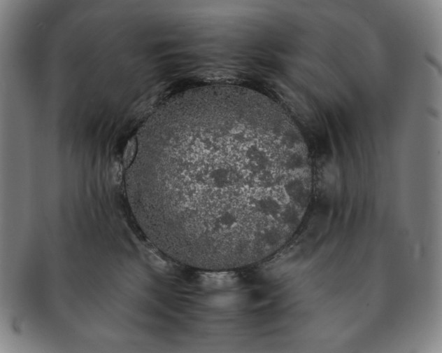X0000091200281200708231537
