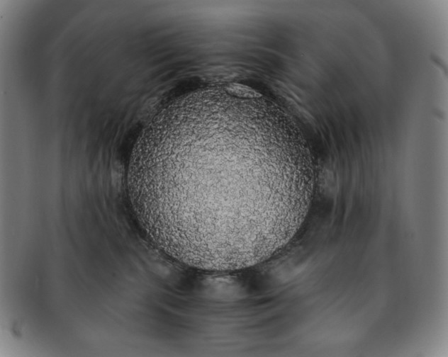 X0000091200283200708231537