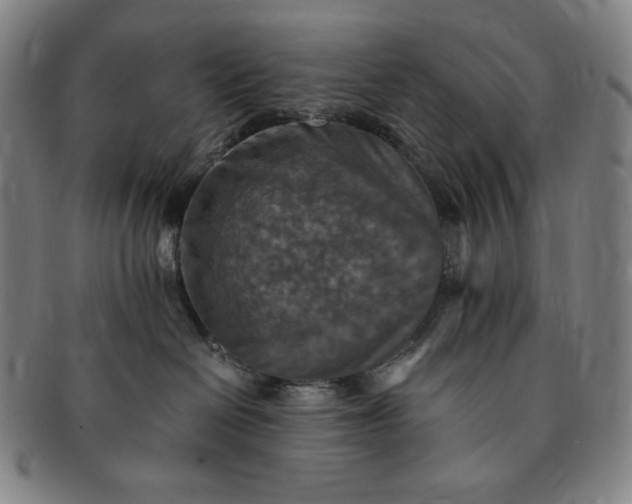 X0000091200286200708231537