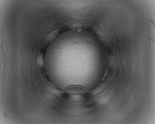 X0000091200287200708231537