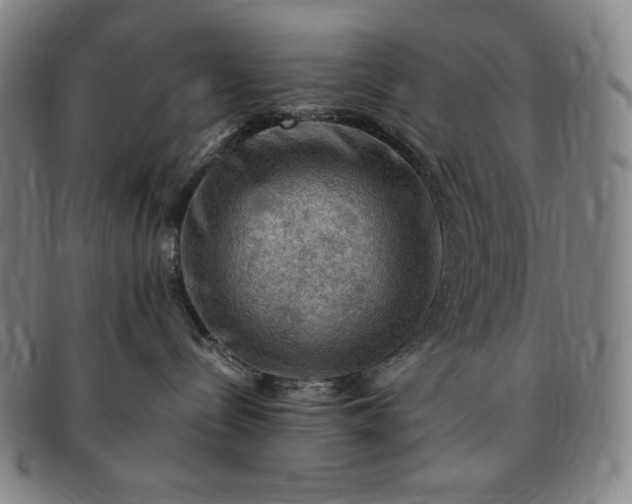 X0000091200288200708231537