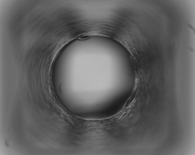 X0000091200289200708231536