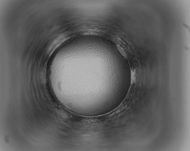 X0000091200291200708231536