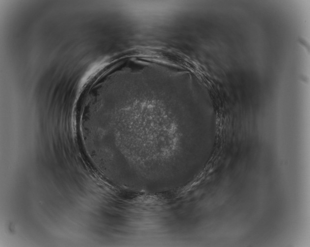 X0000091200294200708231536