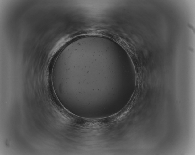 X0000091200295200708231536