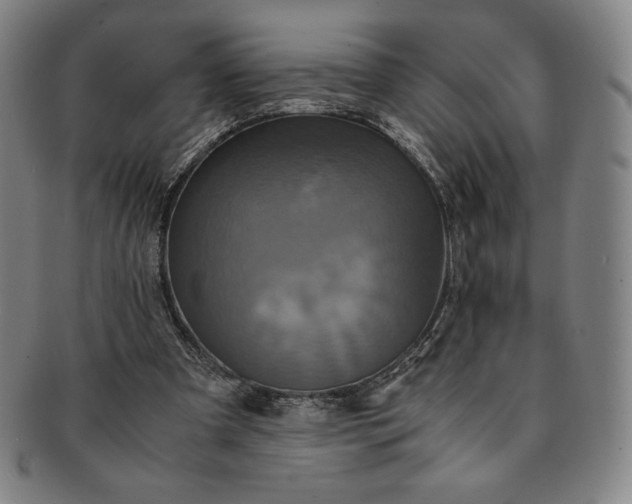 X0000091200297200708231536