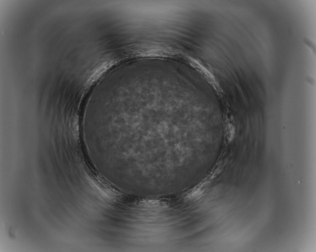 X0000091200298200708231536