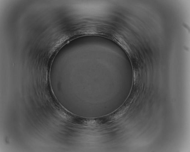 X0000091200301200708231536
