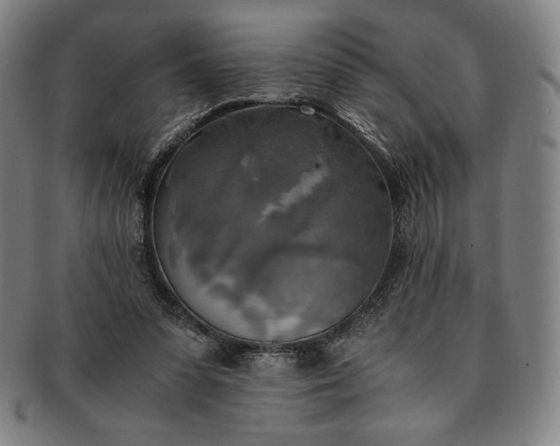 X0000091200303200708231536