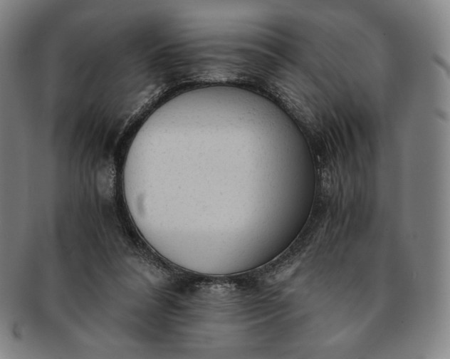 X0000091200304200708231536