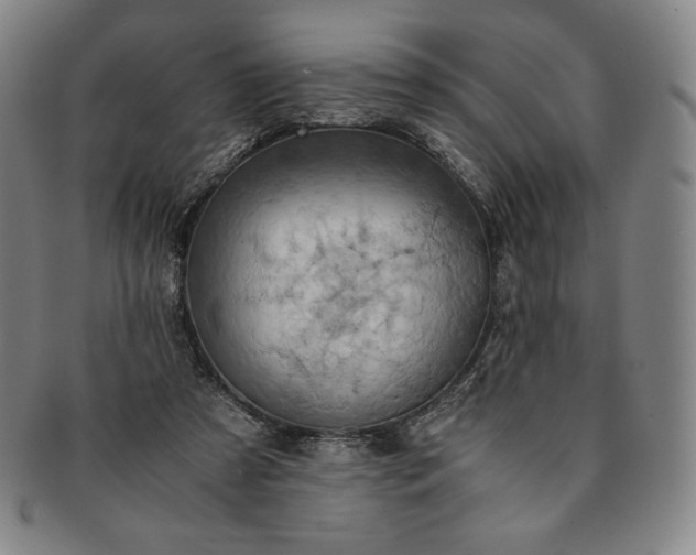 X0000091200305200708231536