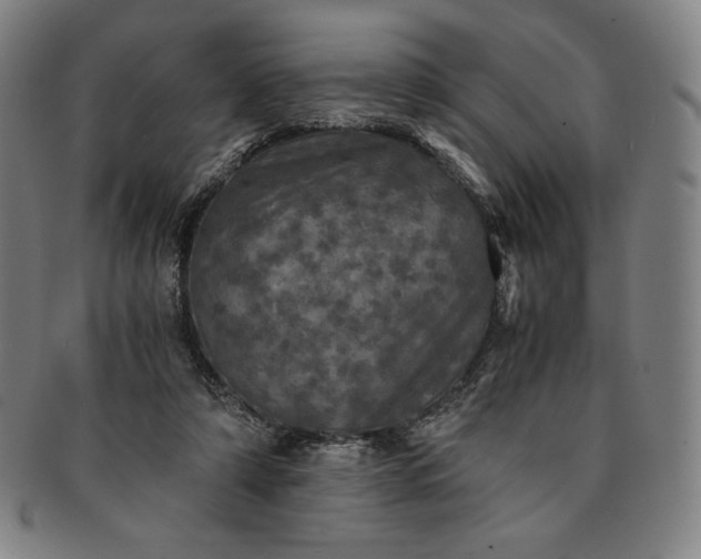 X0000091200306200708231536