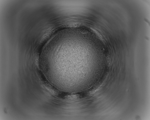 X0000091200307200708231536