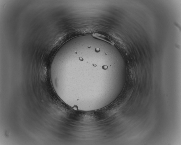 X0000091200308200708231536