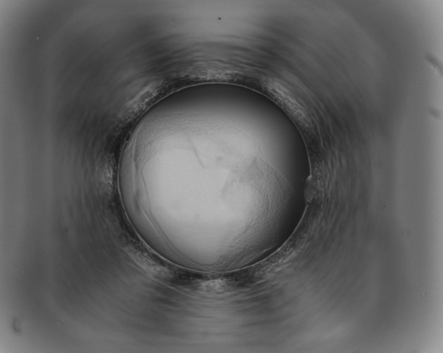 X0000091200309200708231536