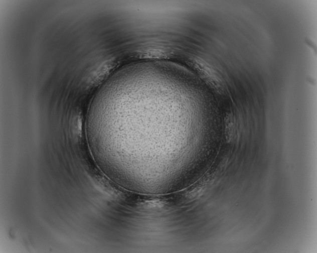 X0000091200310200708231536