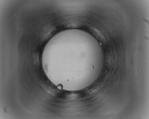 X0000091200312200708231536
