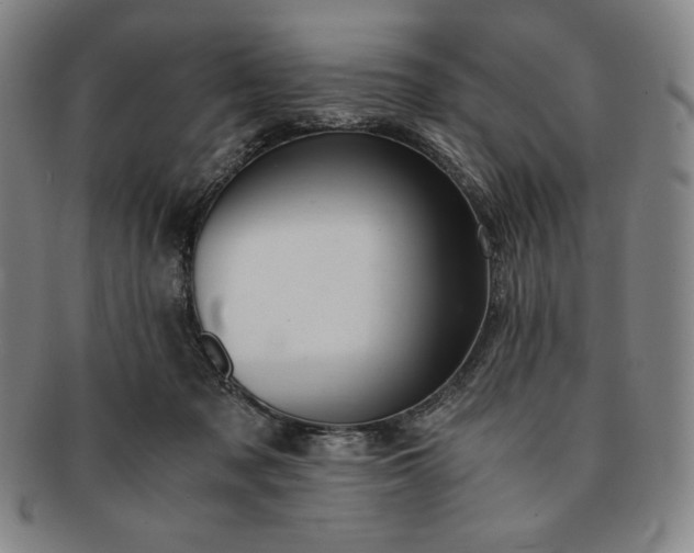 X0000091200317200708231536