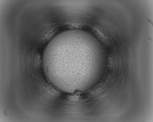 X0000091200318200708231536