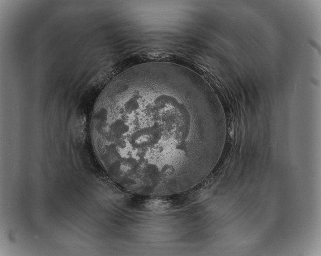 X0000091200319200708231536
