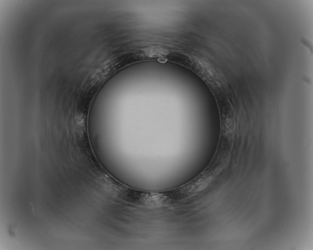 X0000091200321200708231536
