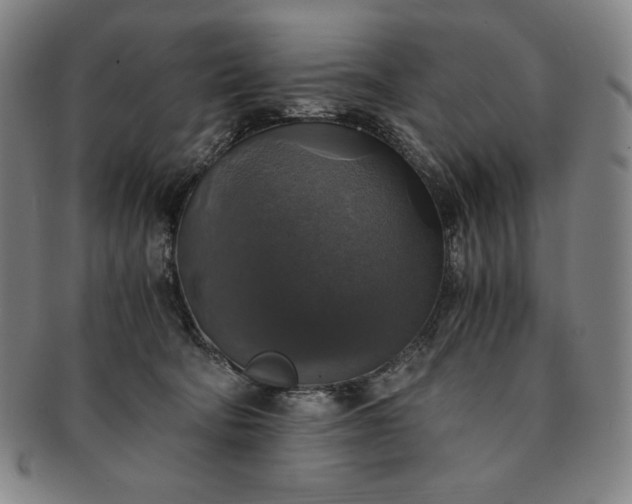 X0000091200322200708231536