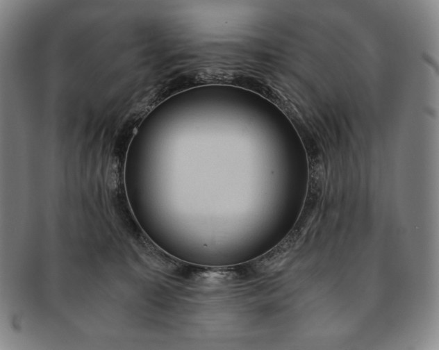 X0000091200323200708231536