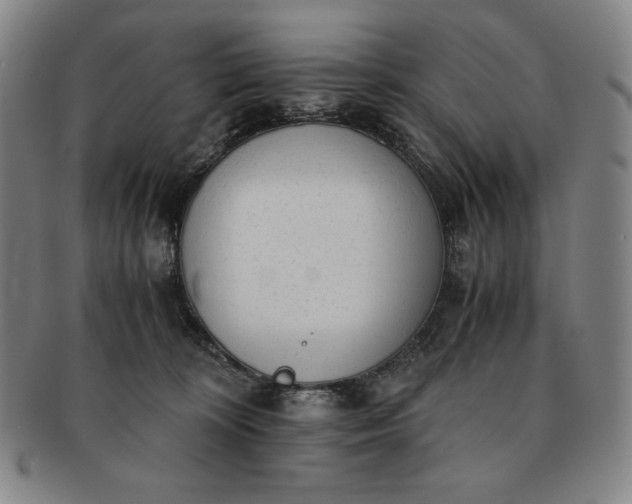 X0000091200324200708231536