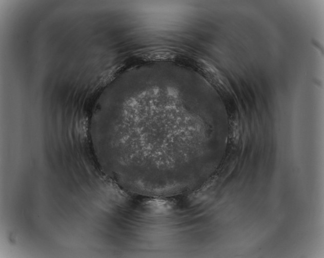 X0000091200326200708231536