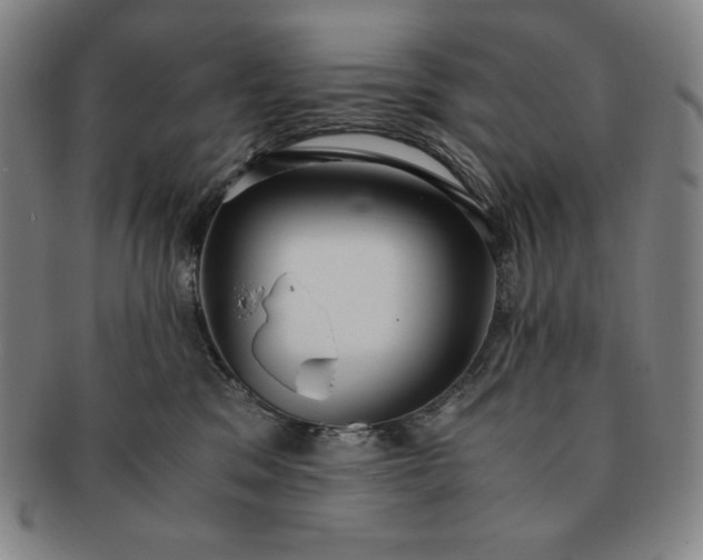 X0000091200329200708231536