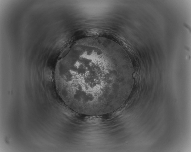 X0000091200331200708231536