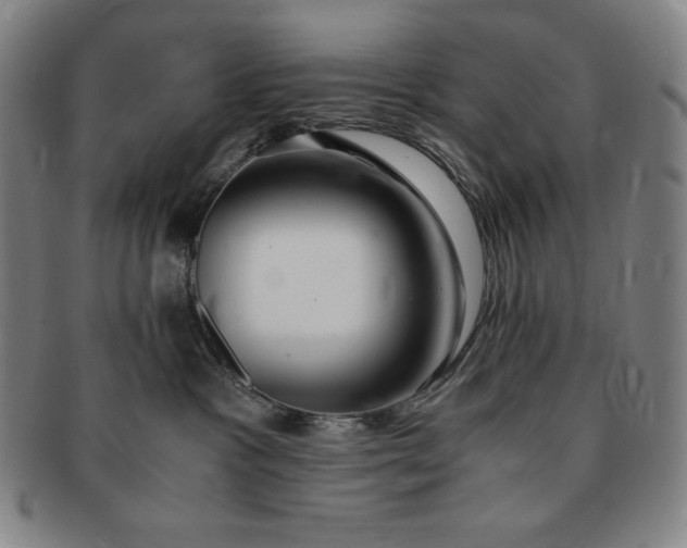 X0000091200333200708231536