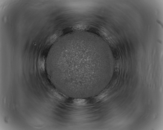 X0000091200334200708231536