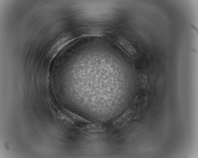 X0000091200338200708231535