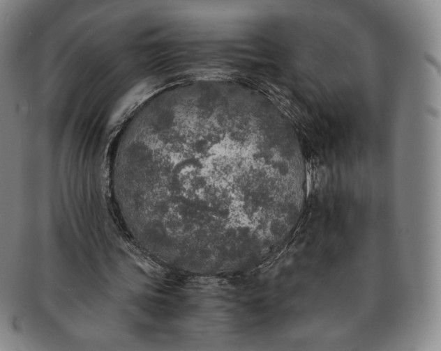 X0000091200339200708231535