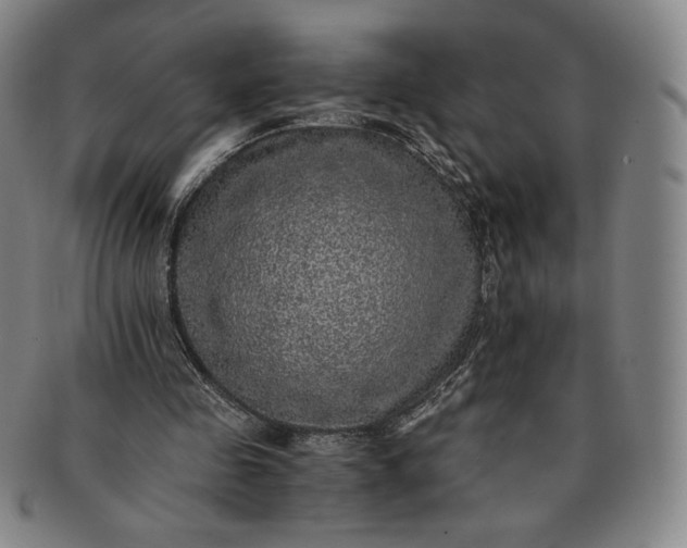 X0000091200341200708231535