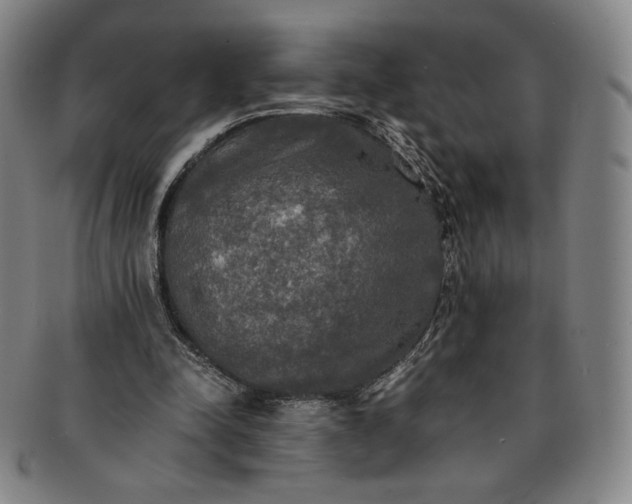 X0000091200342200708231535