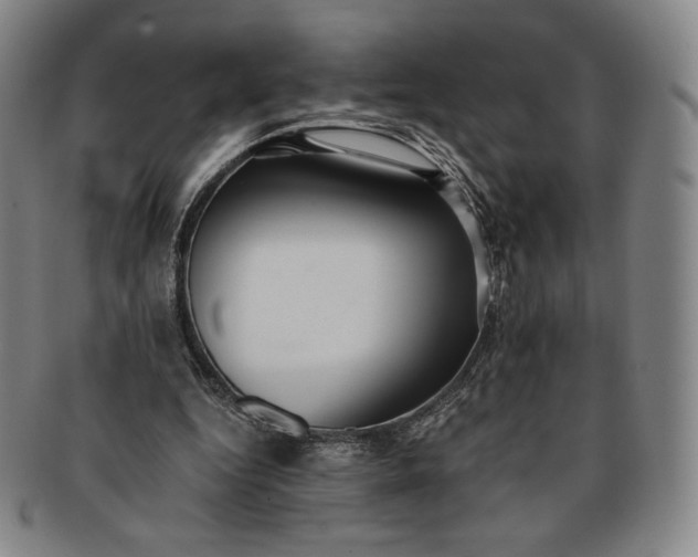 X0000091200344200708231535