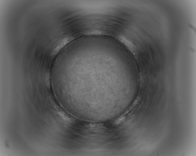 X0000091200345200708231535